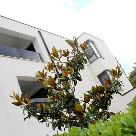 Luxury Apartments Aronia Vantacici Exterior foto